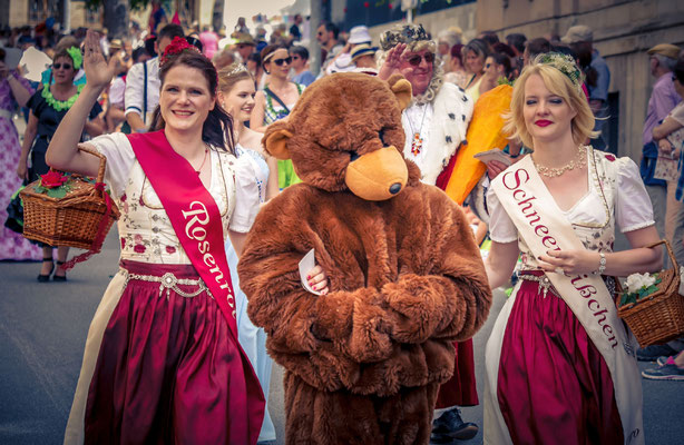 Region Eichsfeld / Karnevalsverein aus Heilbad Heiligenstadt und Symbolfiguren