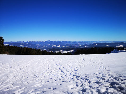 Weitblick bis zu den Alpen