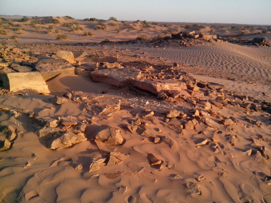 Sahara Salvaje. Foum Rjam, necrópolis, tumulos
