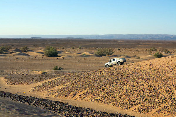 SAHARA SALVAJE. CHEGAGA-HAMMADA 