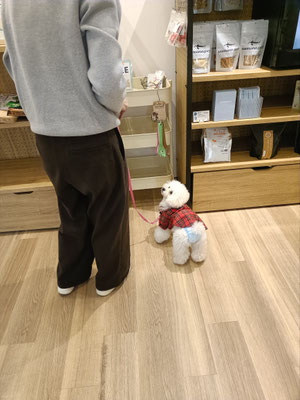 ノーズワーク　大阪