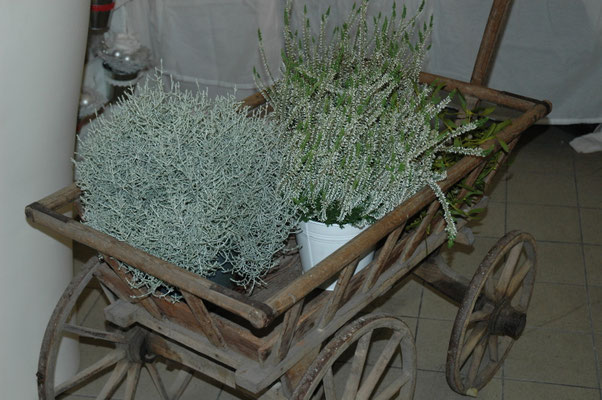 wuerzers-blumendeko.ch
