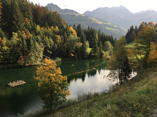 Der Seewaldsee in romantischer Herbstruhe