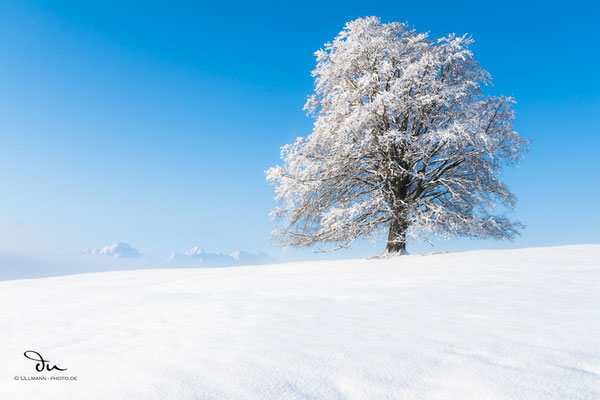 Daniel Ullmann Photography - Landschaftsfotos