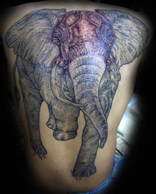 elephant tattoo