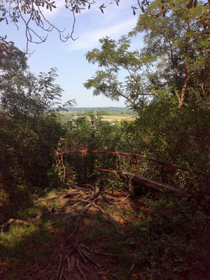 "Rooted", Yoga-Landart-Retreat, Gut Stolzenhagen, Uckermark, 2018, Ansicht 1