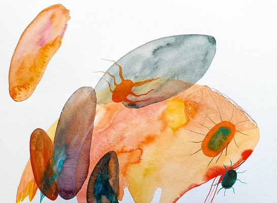 I told you, Aquarellfarbe auf Papier, 30 x 40 cm, Susanne Renner-Schulz, 2023