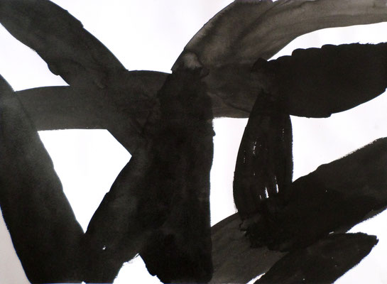 Black Matter, 50 x 70 cm, Tusche auf Papier, Susanne Renner-Schulz, 2014