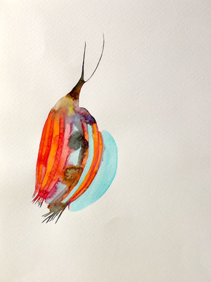 Earthling, Aquarellfarbe auf Papier, 24 x 32 cm, Susanne Renner-Schulz, 2022