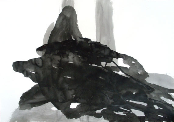 Black Matter, 70 x 100 cm, Tusche auf Papier, Susanne Renner-Schulz, 2014