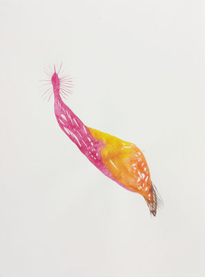 Alien, Aquarellfarbe auf Papier, 24 x 32 cm, Susanne Renner-Schulz, 2020