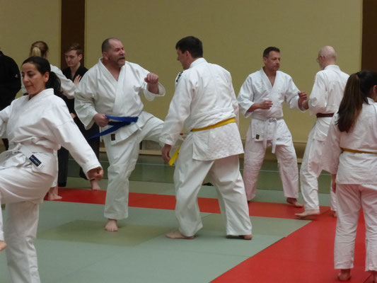Jiu Jitsu Union NW - Selbstverteidigung - Kampfsport - Kampfkunst
