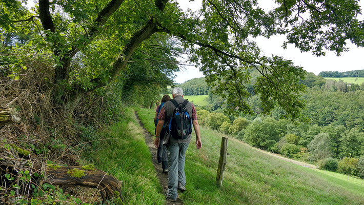 Unterwegs im Felderbachtal