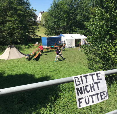 Blick auf den Zelt-Lagerplatz, gefüttert wird hier aber niemand