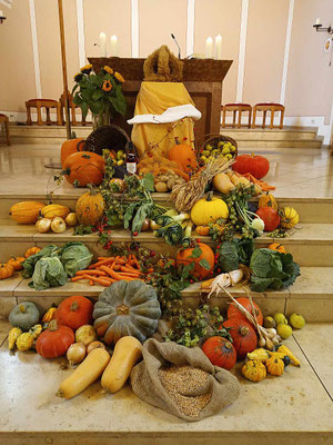 Ausgelegte Felldfrüchte der Familie Krevert