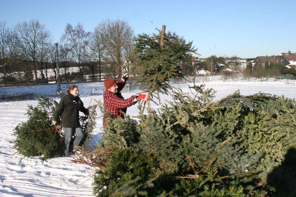 Weihnachtsbaumaktion mit Schnee (2009)