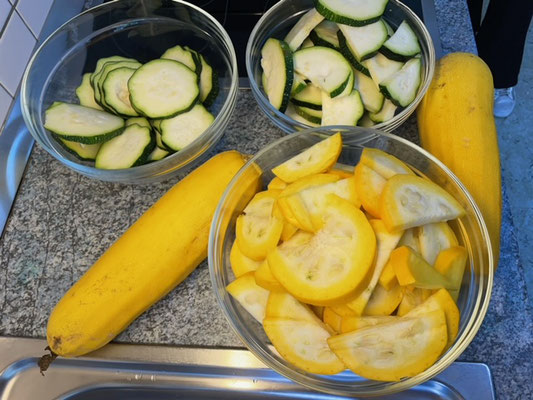 Frisch geerntete Zucchinis und Gurken