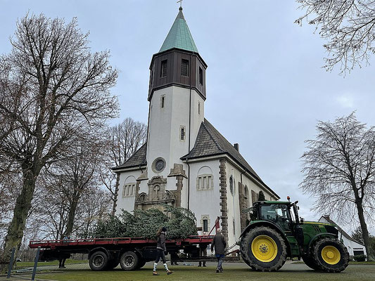 Auf dem Hänger ist der Baum herbeigefahren worden