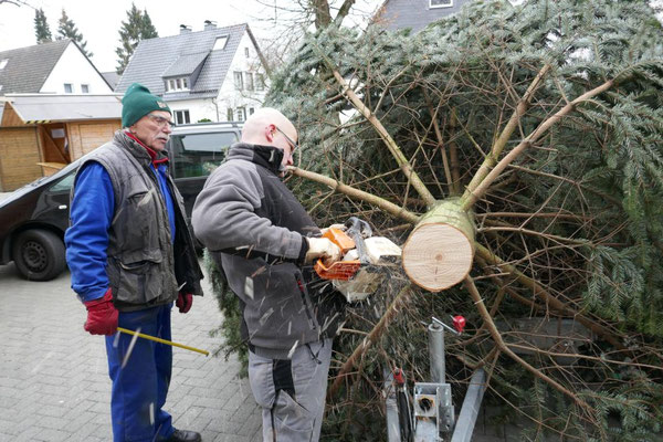 Vorbereitung des Stammes zur Aufnahme des Ständers