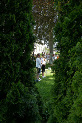 Ein Durchblick durch die Hecke