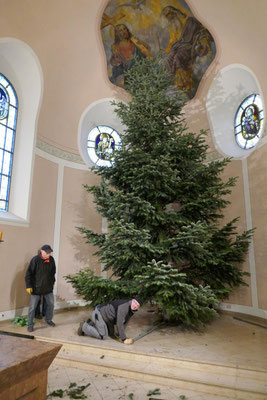 Der Baum steht