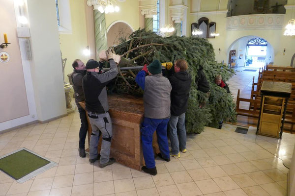 Nun muss der schwere Baum über den Altartisch gehievt werden