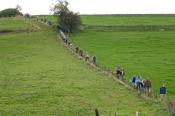 ... geht es auf meist glitschigem Wiesenhang bergab.