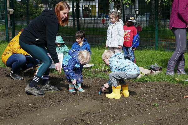 Weitere "Grabungen" folgen