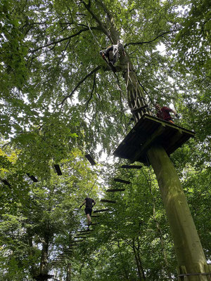 Hoher Parkour in den Baumwipfeln
