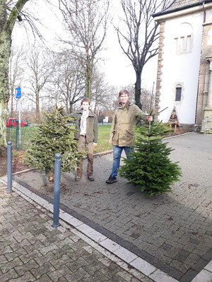 Die Bäume werden zusammengetragen...