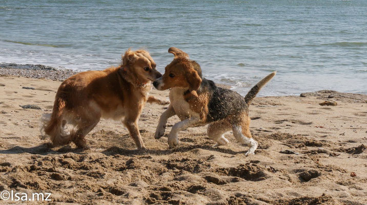 Avec un pote de plage.