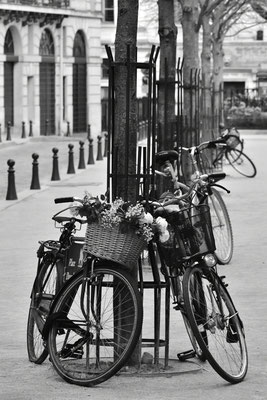 Place Dauphine (Digitalfotografie)