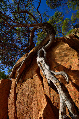 Canyet de Mar (Catalonia/Spain)