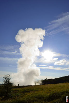 Geysir