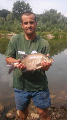 Leszcz 1,8 kg Warta, Poznań Betony