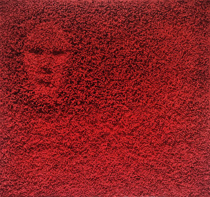 HESITATION // ZURÜCKHALTUNG 2022 Mischtechnik (Seil, Lack) 120 x 130 x 8 cm