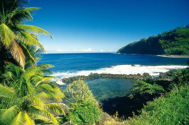 Guyane, plage de Raisins Clairs