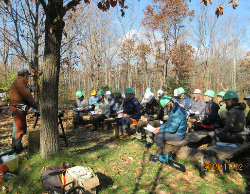 １１月　チェーンソーと伐採の実技講習会　安全作業の基本を学び、午後から伐採実技