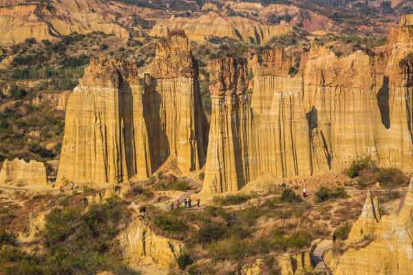 Yuanmou earth forest