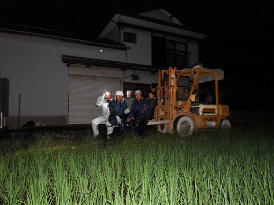 熊本県八代市 い草刈り研修 徳田畳襖店  FBS福岡テレビ密着取材