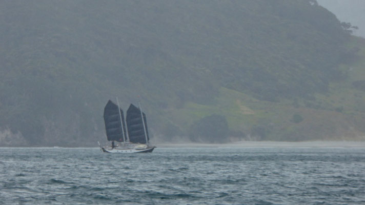 Boot mit Dschunkenrigg im starken Fallwind