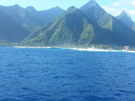 Tahiti  in Sicht mit Surfwelle...