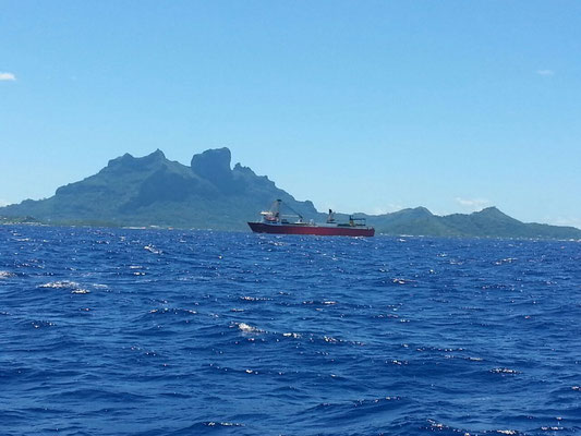 Bora Bora in Sicht...