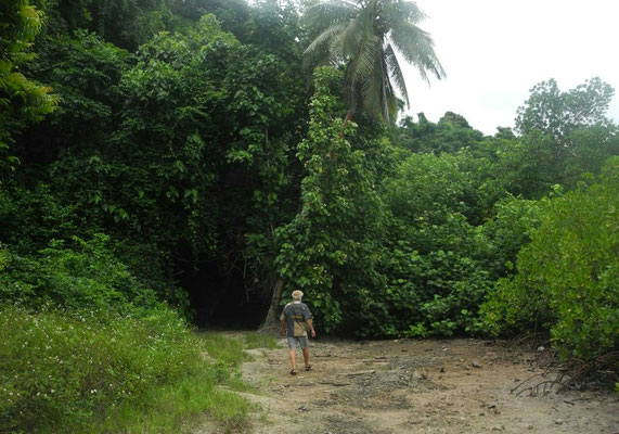 Spaziergang durch die Mangroven...