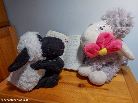 Gampi und Jakob freuen sich mit!