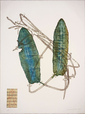 Vincent DEZEUZE, "Nuphar Jagittoefolia Pursh", Gravure technique cellulogravure, 65x50 cm, 2019