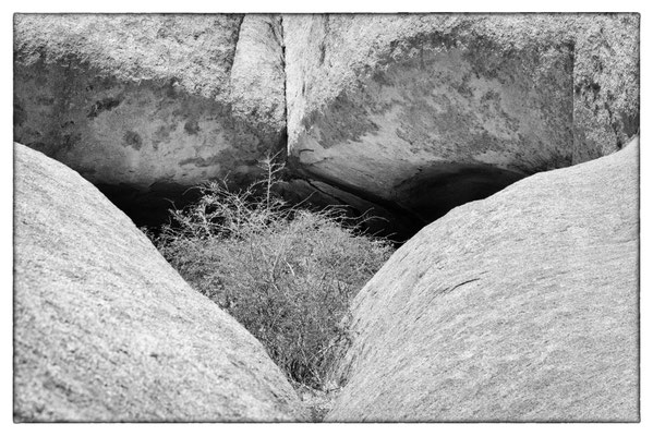 Spitzkoppe - Damara Land - Namibia 2018