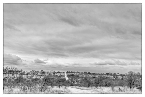 Krüger Nationalpark - Südafrika