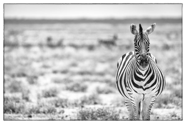 Namutoni - Etosha Park - Namibia