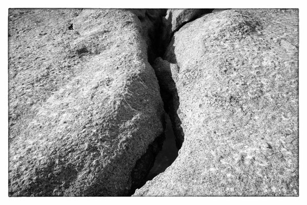 Boulders - Western Cape - Südafrika 2017